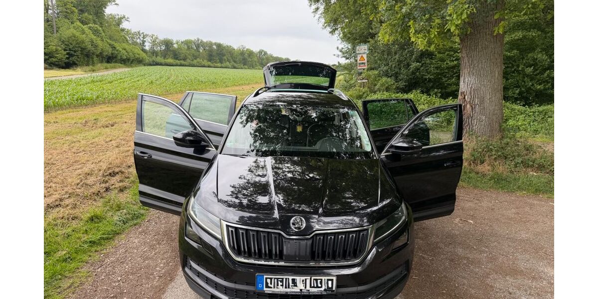 Skoda Kodiaq 174.000 km 20.890 &euro; Backnang 71522