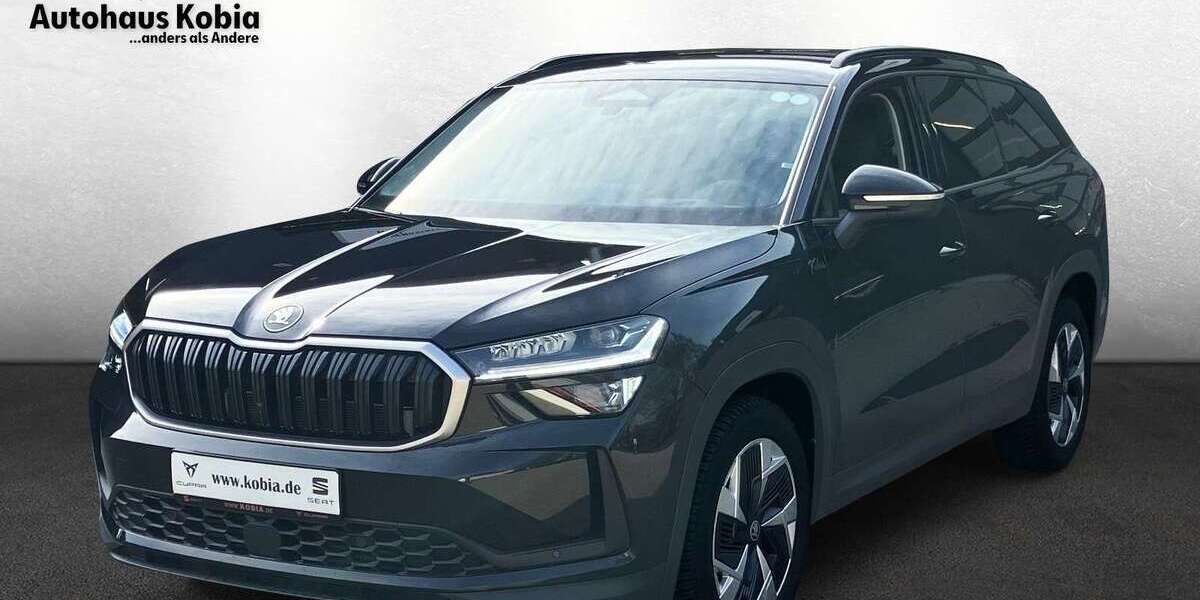 Skoda Kodiaq 21.345 km 45.900 &euro; Sinsheim 74889