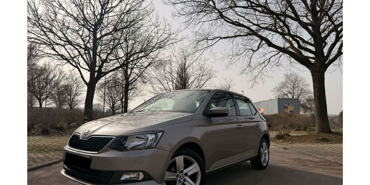 Skoda Fabia 76.000 km 7.999 &euro; Ludwigsburg 71634