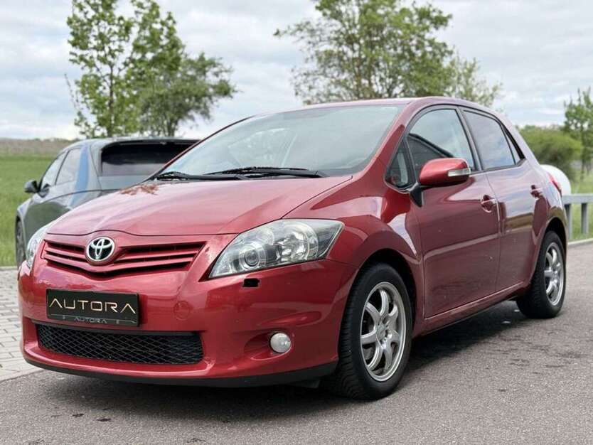 Auris