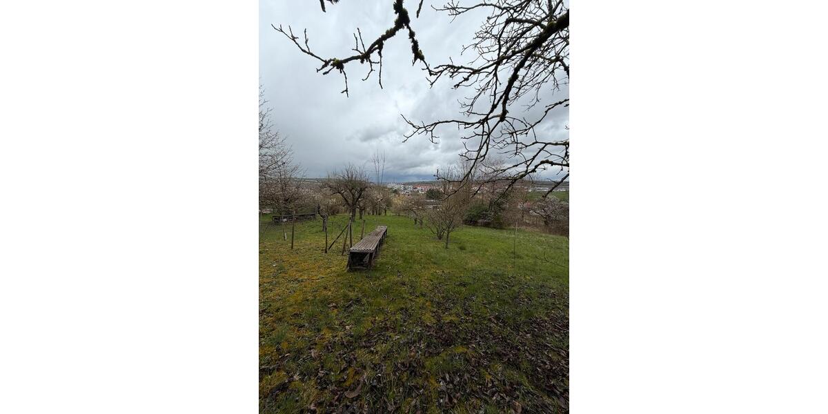 Grundstück Kirchheim am Neckar - 1.500&euro; | Angebot:26022878