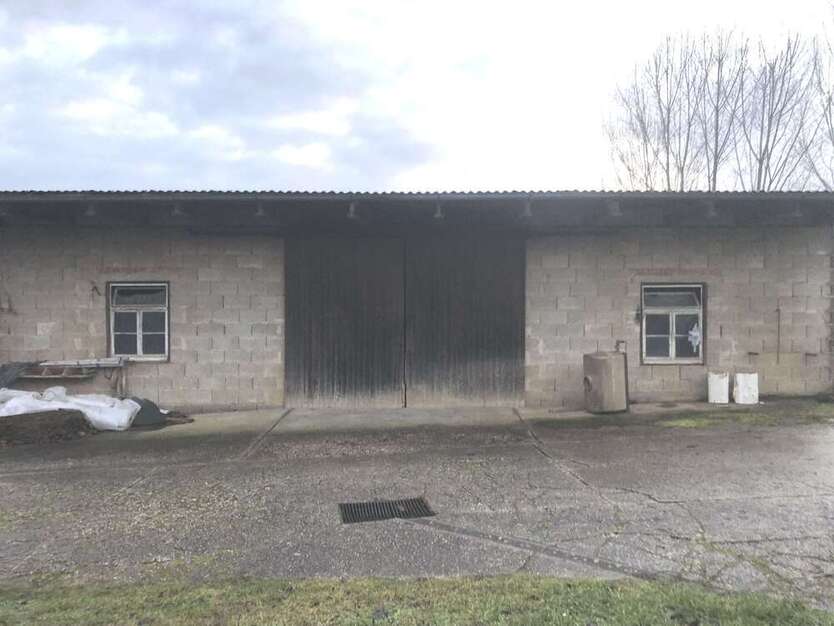 Halle in Kirchardt 1.400 € 180 m²