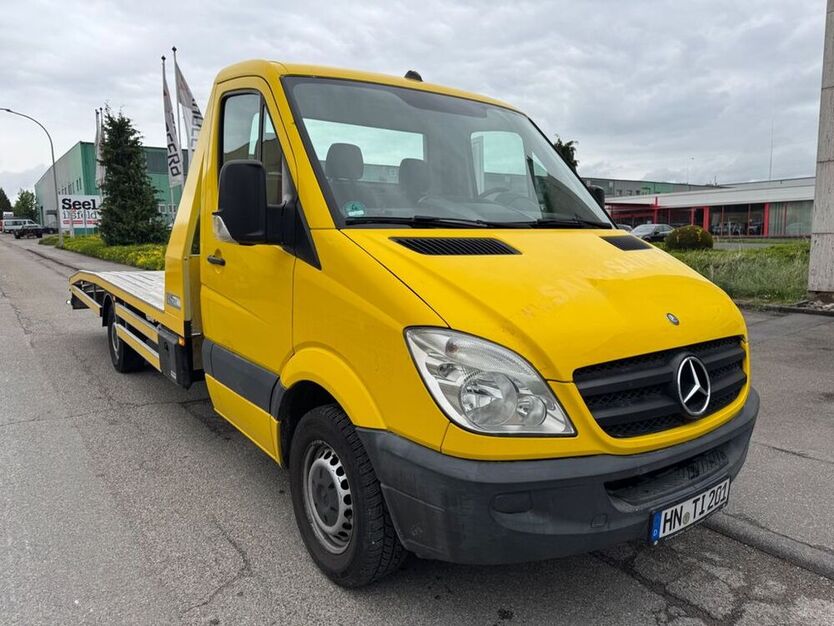Sprinter