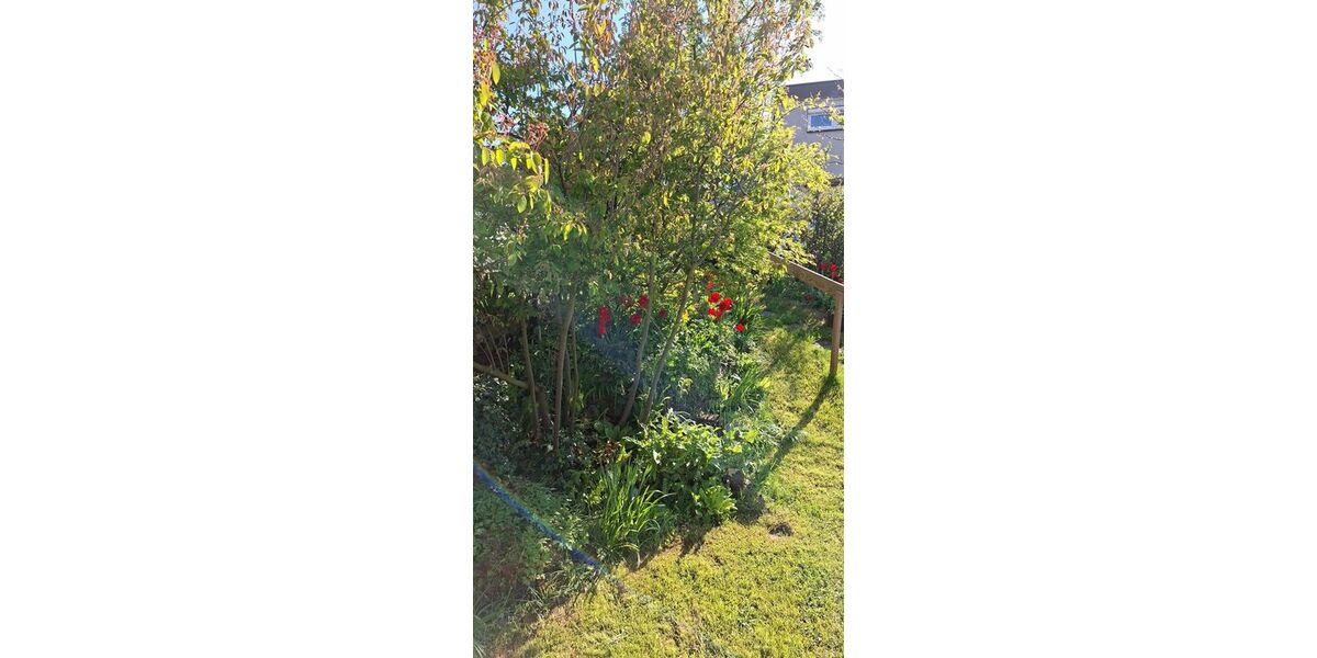 Solides Reihenmittelhaus - Einfamilienhaus Obersulm Willsbach | Angebot:26986071