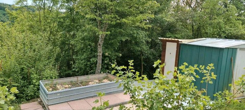 Grundstück Forchtenberg - 56.000&euro; | Angebot:26611202
