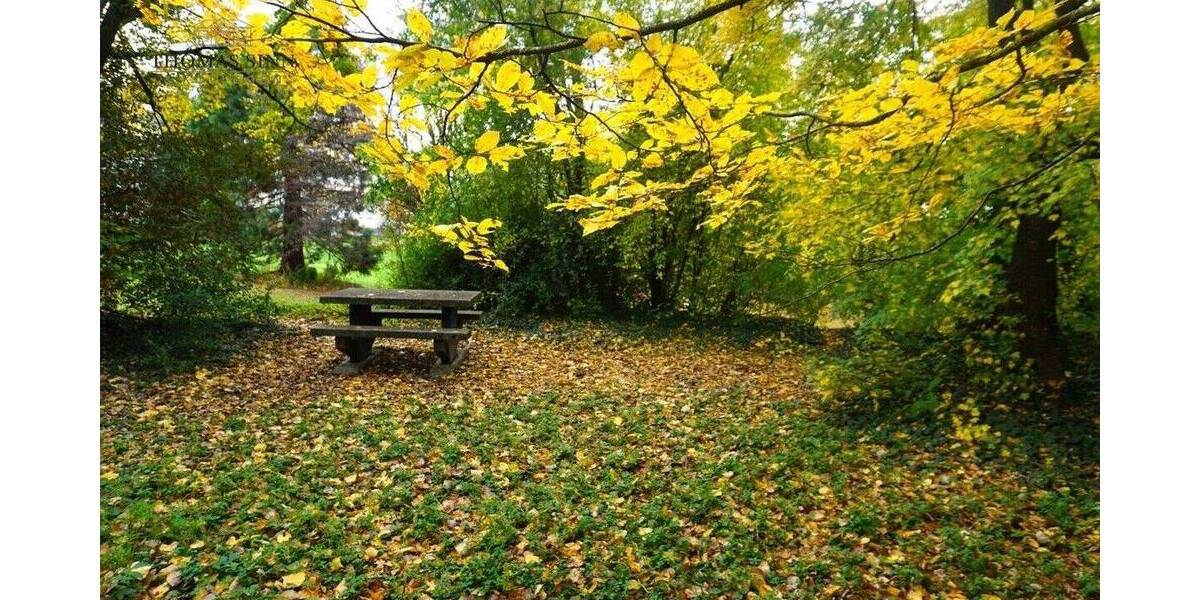Wunderschöne großzügige 4 Zimmer Wohnung mit Blick ins Grüne 4 zimmer