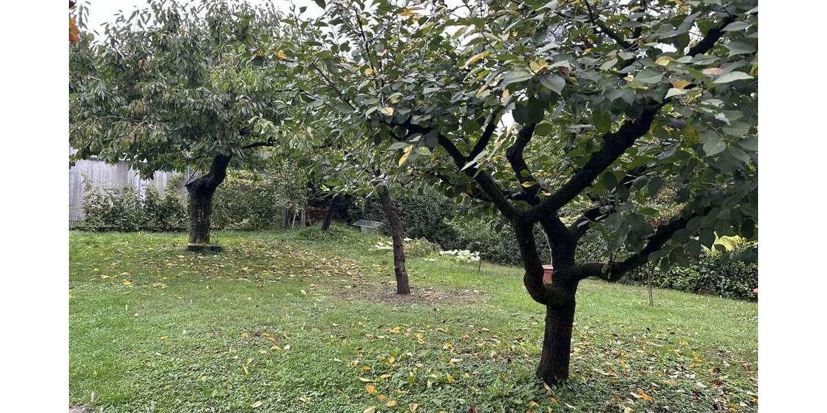 Haus zum Kaufen in Schwaigern 530.000 € 135 m² 6 zimmer