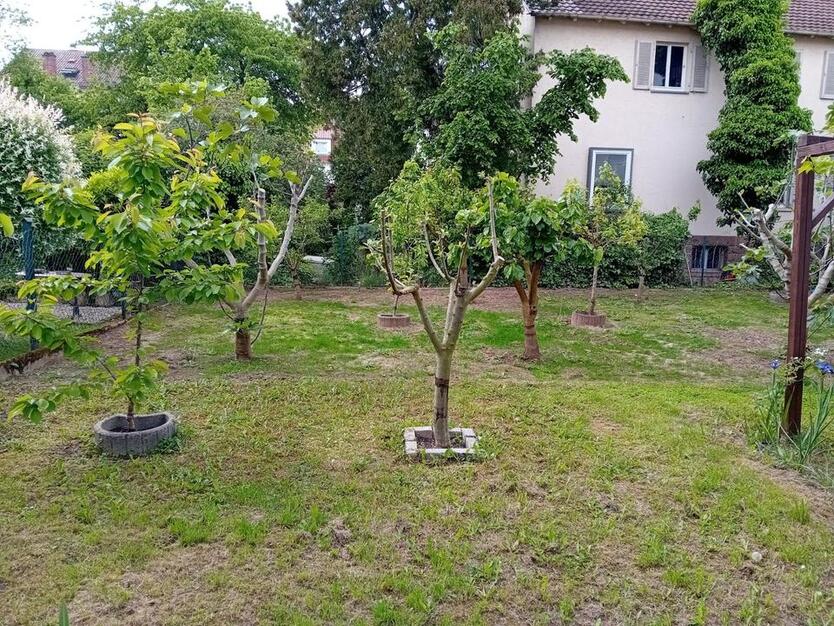 Zweizimmerwohnung innenstädtisch gelegen zimmer