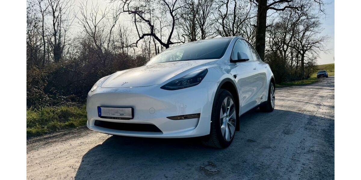 Tesla Model Y 66.500 km 31.499 &euro; Eppingen 75031