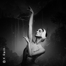 Grand Classic Ballet - Schwanensee - Jenseits der Bühne mit live Streichquartett 09.10.2026 Scala Ludwigsburg
