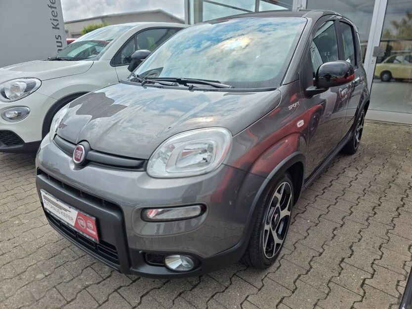 Panda