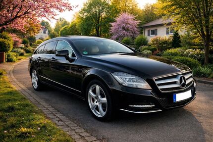Mercedes-Benz CLS 250 Shooting Brake 179.980 km 15.390 &euro; Neckarwestheim 74382