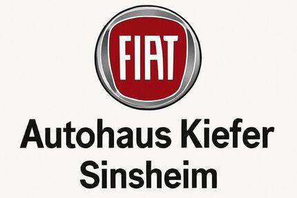 Fiat 500e 9.689 km 25.200 € Sinsheim 74889