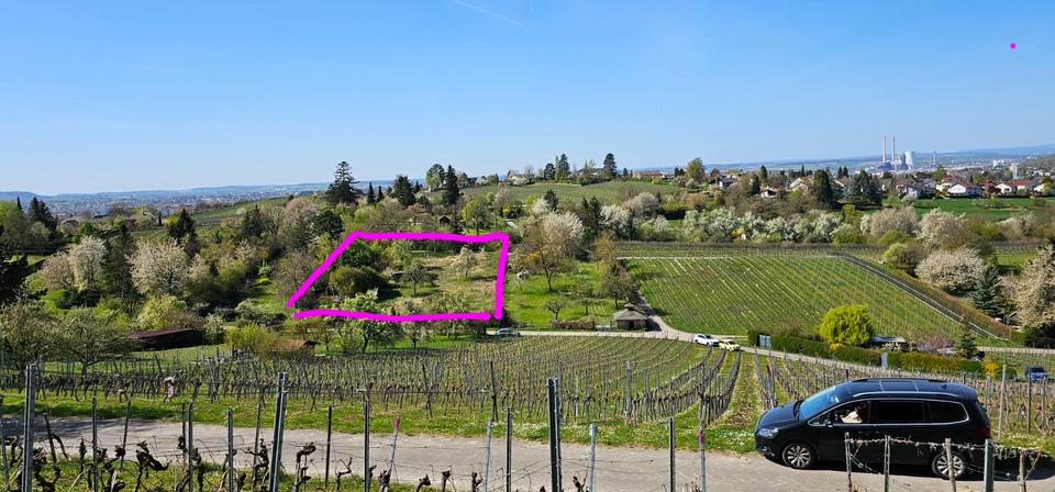 Garten, Grundstück zimmer