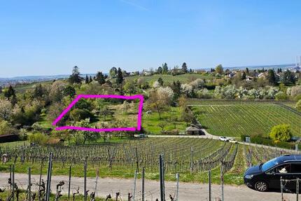 Haus Heilbronn Horkheim - 86.000&euro; | Angebot:20260802