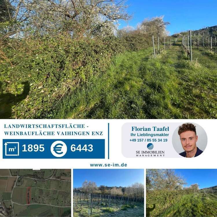 Grundstück zu verkaufen in Vaihingen an der Enz 6.443 € 1895 m²