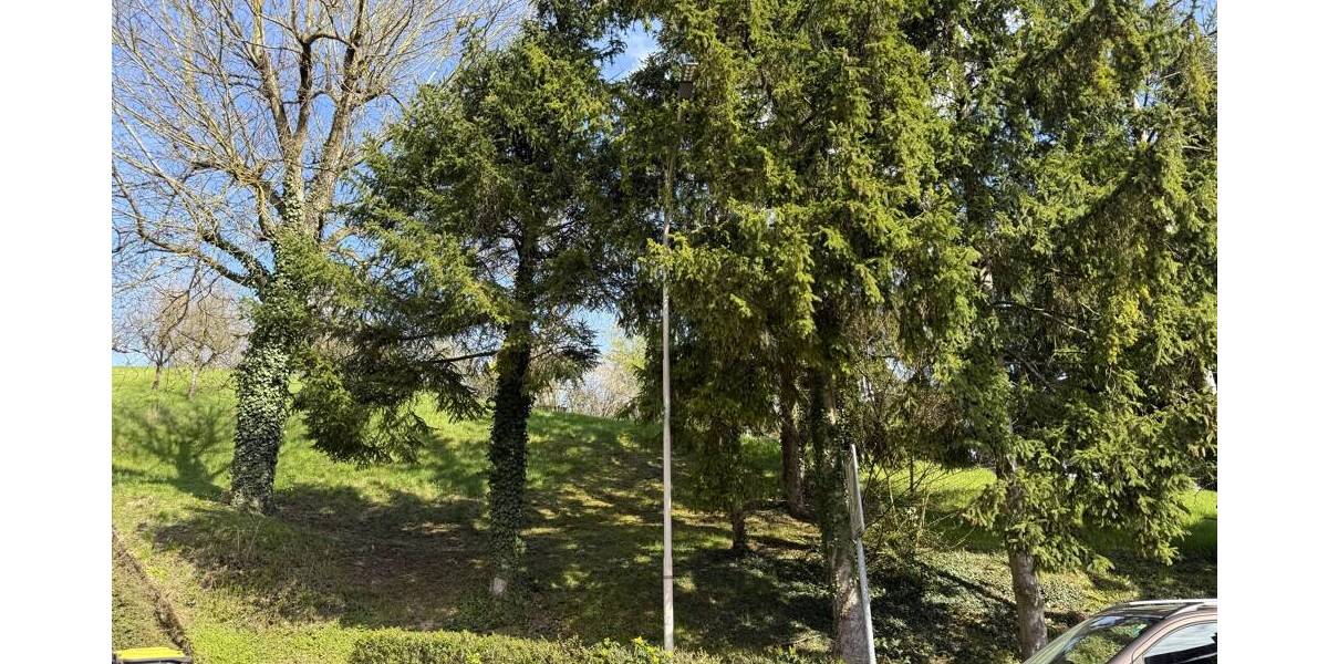 Grundstück Großbottwar Hof und Lembach - 549.000&euro; | Angebot:26205721