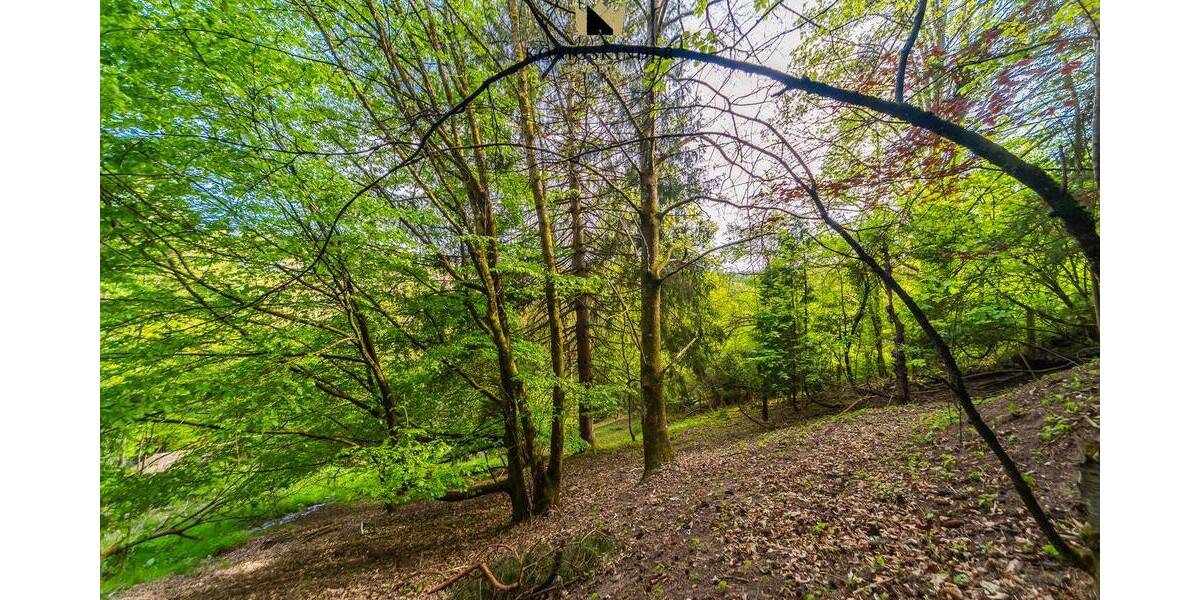 Grundstück Spiegelberg - 99.000&euro; | Angebot:26450317