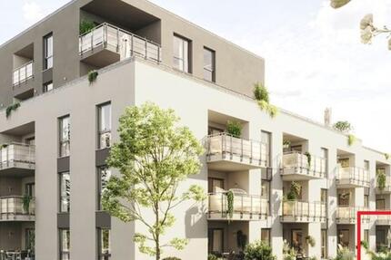 lichtdurchflutete wunderschöne 3,5 Zimmer Wohnung mit Garten 3 zimmer