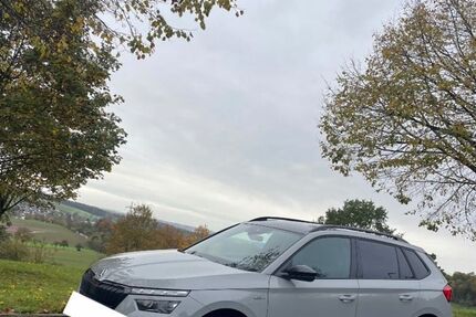Skoda Kamiq 54.000 km 20.000 &euro; Obrigheim 74847