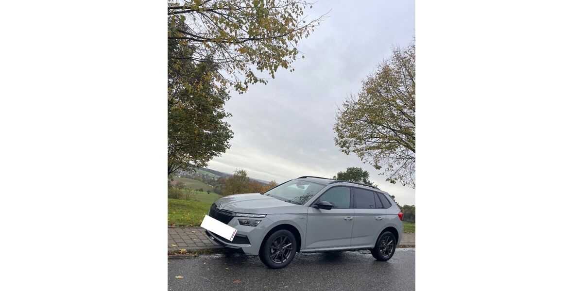 Skoda Kamiq 54.000 km 20.000 &euro; Obrigheim 74847