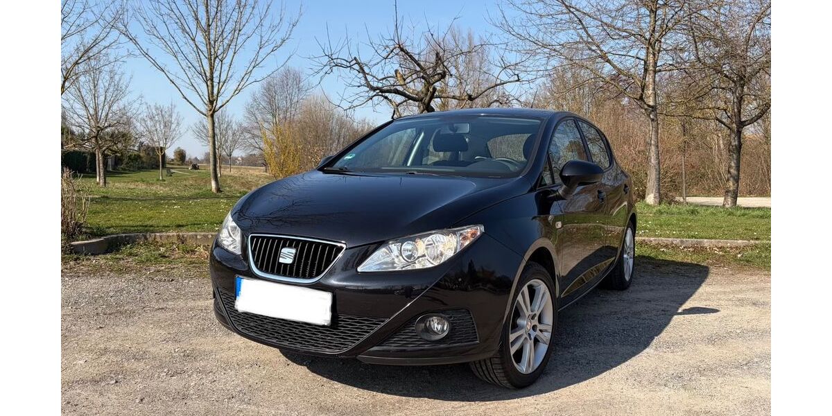 Seat Ibiza 100.200 km 6.490 &euro; Flein 74223