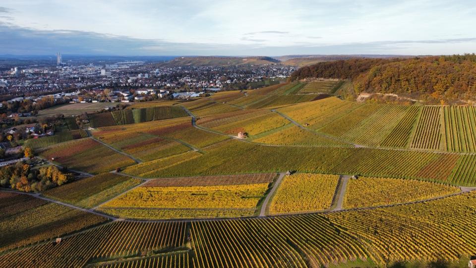 Möblierte 2 Zimmer-Wohnung in HN-Sontheim 2 zimmer
