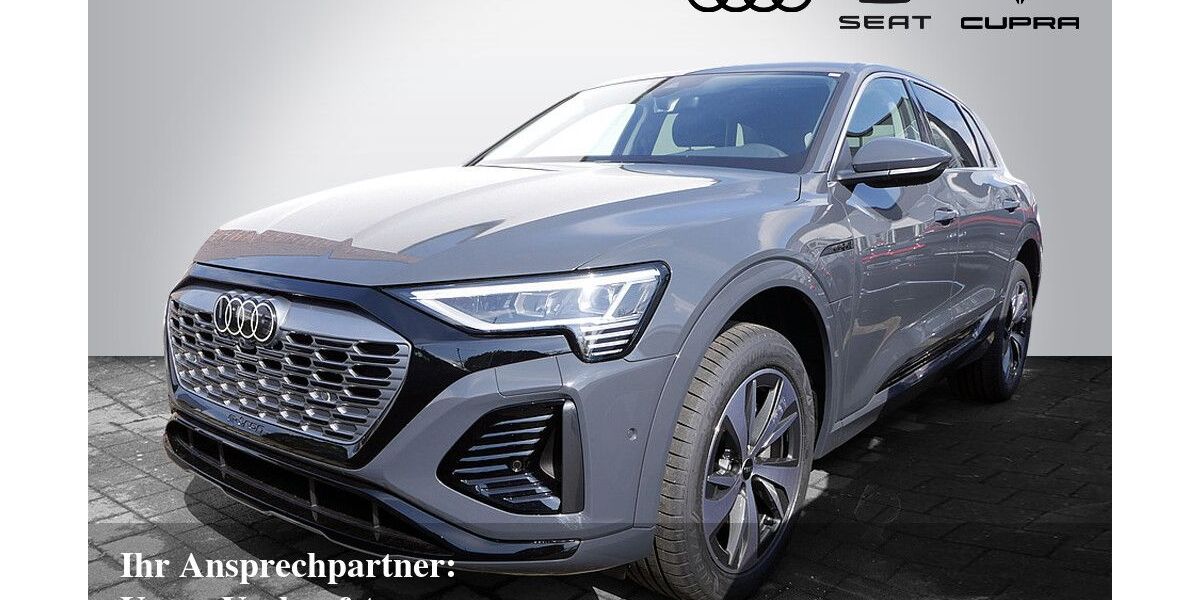 Audi Q8 e-tron 9.500 km 45.970 &euro; Bietigheim-Bissingen 74321