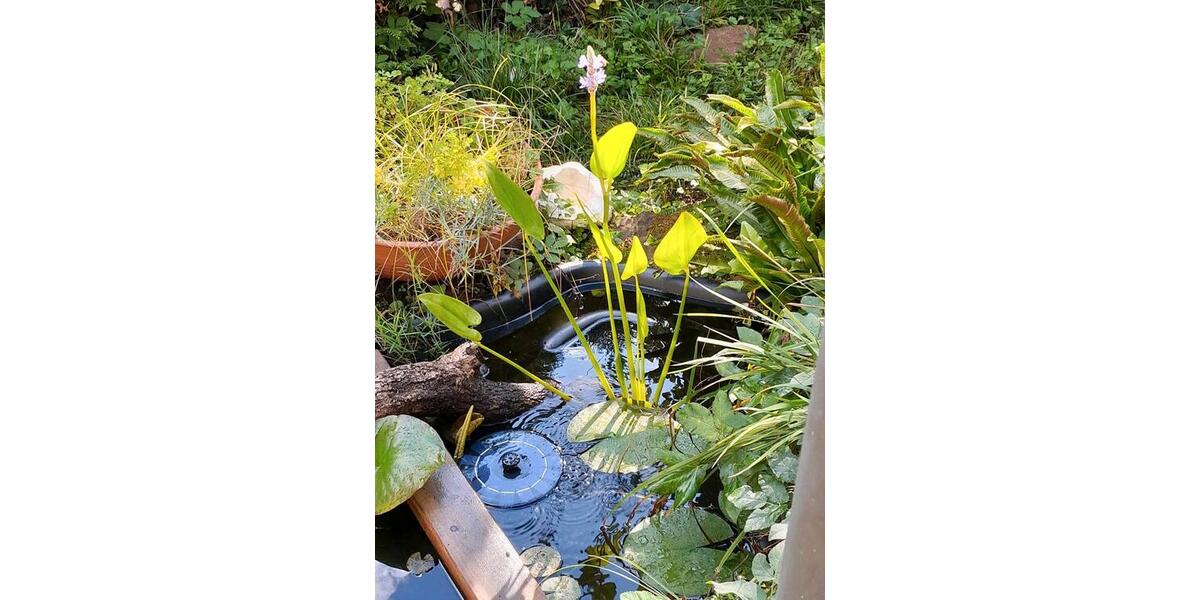 Einfamilienhaus Bietigheim-Bissingen Bissingen - 5 Zimmer, 128 m&sup2;, 749.000&euro; | Angebot:26373121