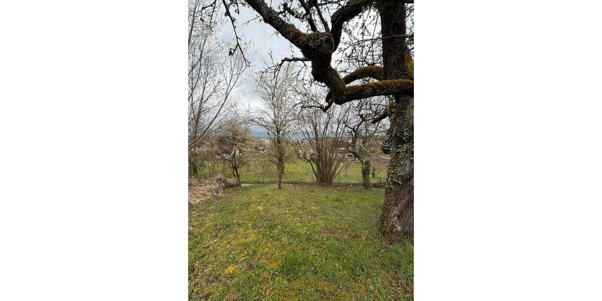Grundstück Kirchheim am Neckar - 1.500&euro; | Angebot:26022878