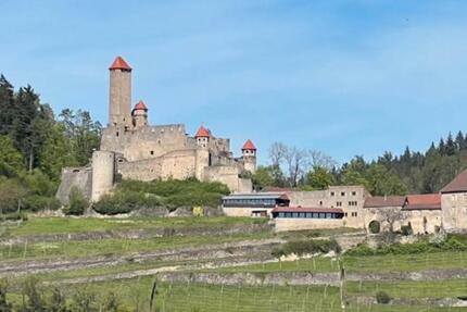 Haus Haßmersheim - 4 Zimmer, 138 m&sup2;, 1.550&euro; | Angebot:25523183