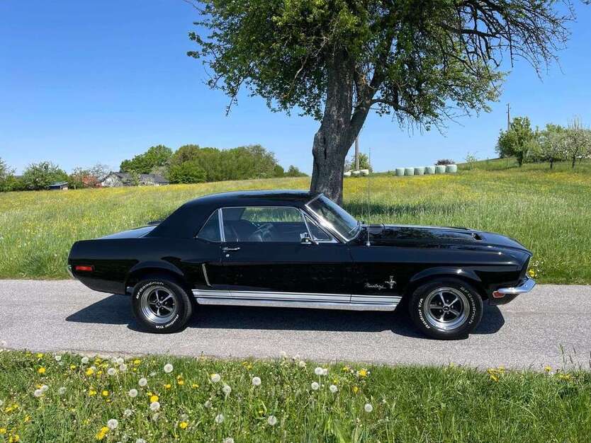 Mustang