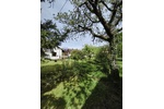 Großes, sonniges Traumgrundstück m. Einfamilienhaus und viel Platz zur freien Entfaltung! - Einfamilienhaus Möckmühl | Angebot:27266549