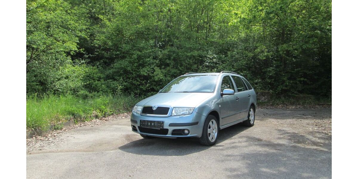 Skoda Fabia 122.000 km 2.900 &euro; Bad Rappenau 74906