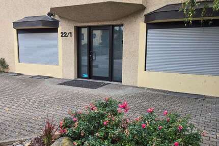 Wohnung zum Kaufen in Lauffen a.N 248.000 € 100 m² 3 zimmer