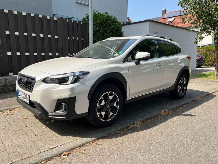 XV
