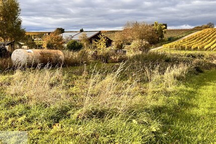 Freizeitidylle pur – Ruhe, Sonne und Natur in den Weinbergen von Leingarten zimmer