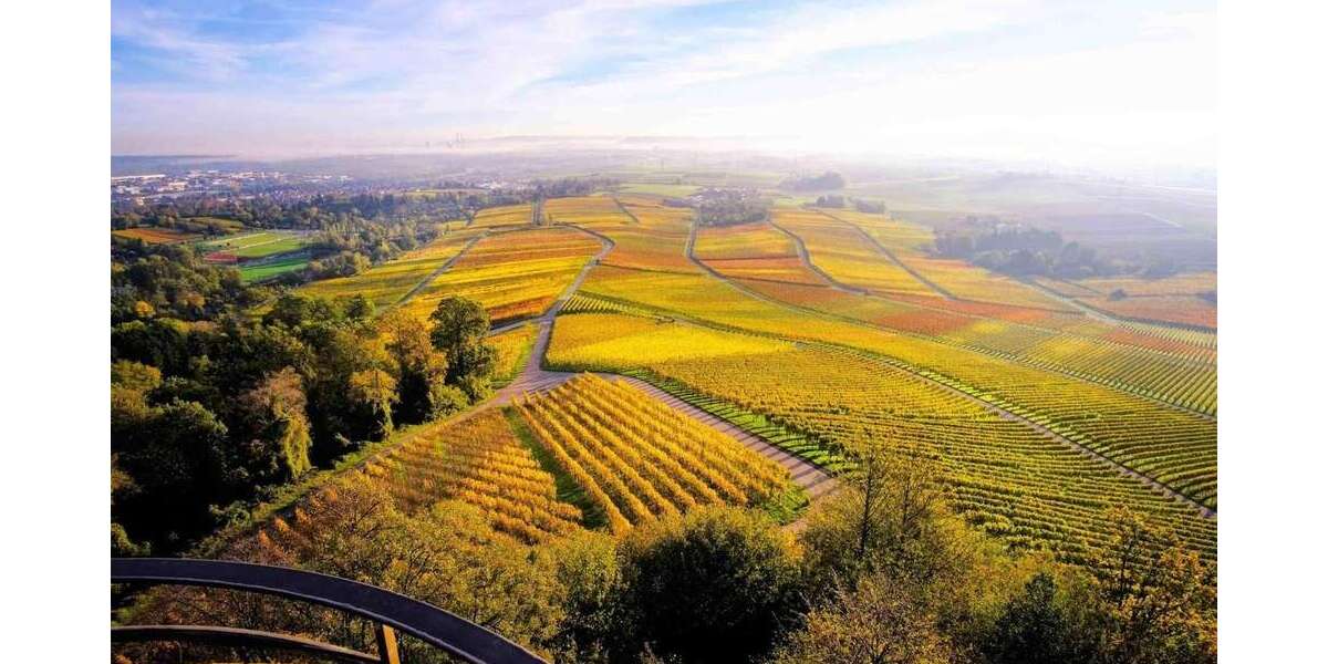 Haus zum Kaufen in Leingarten 694.500 € 190.52 m² 6.5 zimmer