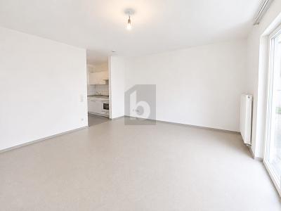 LEERSTEHEND UND BARRIEREFREI ALS KAPITALANLAGE - Erdgeschoßwohnung Murr | Angebot:26739111