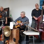 Backyard Safari - Auf der Pirsch im Dschungel der Popmusik