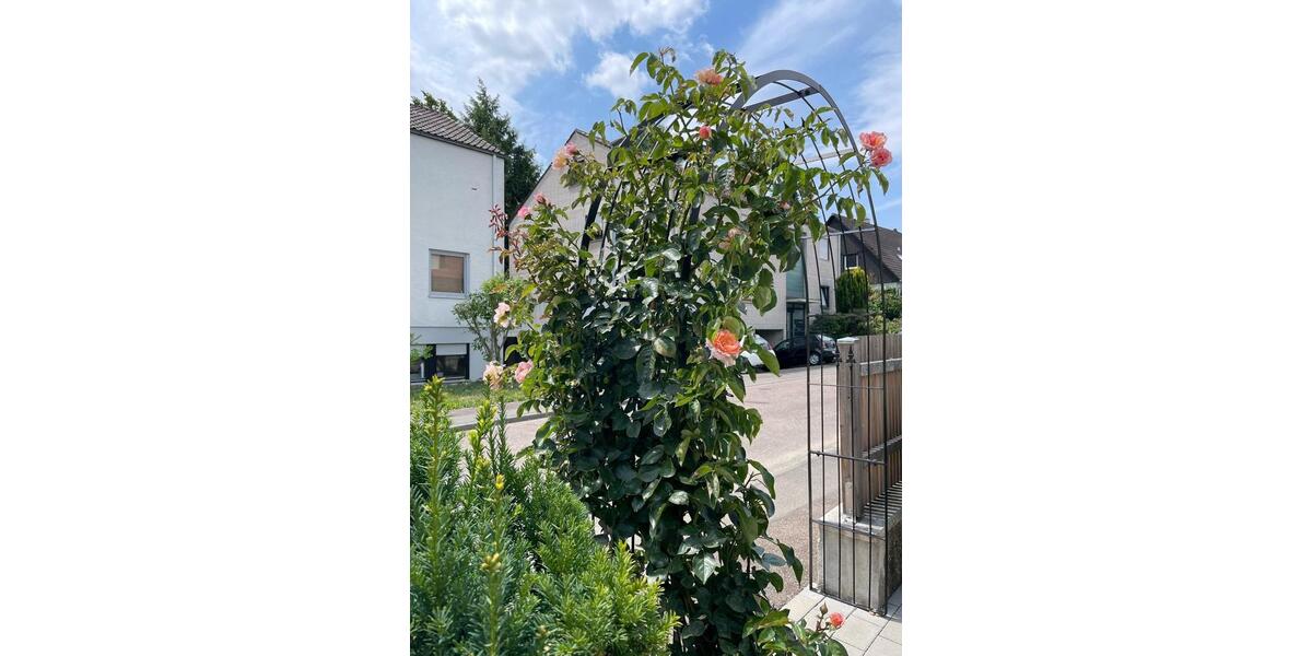 Etagenwohnung Ludwigsburg Oßweil - 1 Zimmer, 18 m&sup2;, 520&euro; | Angebot:25142435