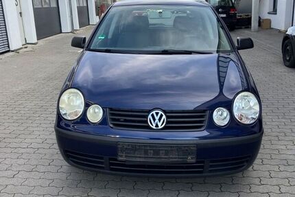 VW Polo