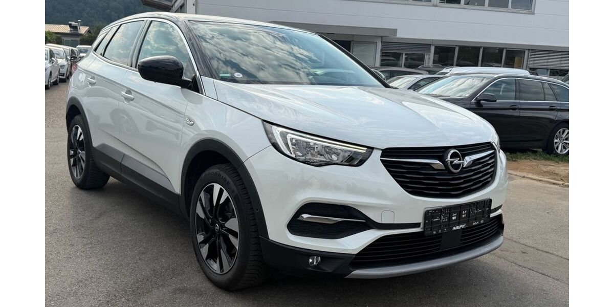 Opel Grandland (X) 110.000 km 12.499 &euro; Gundelsheim 74831
