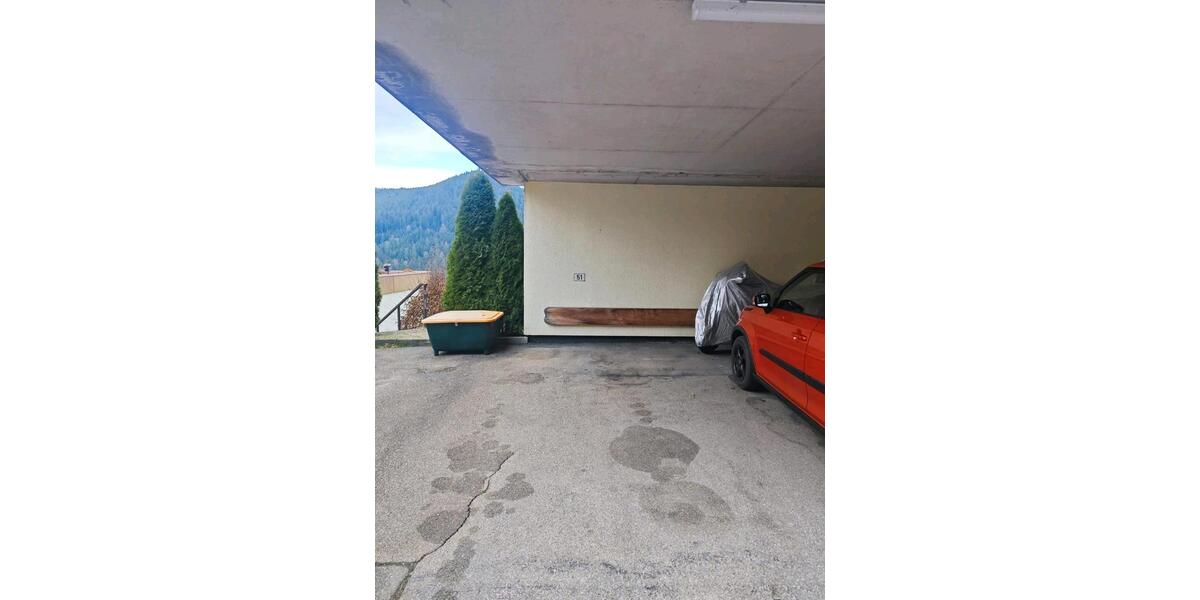 1 Zimmer Wohnung in Baiersbronn 1 zimmer