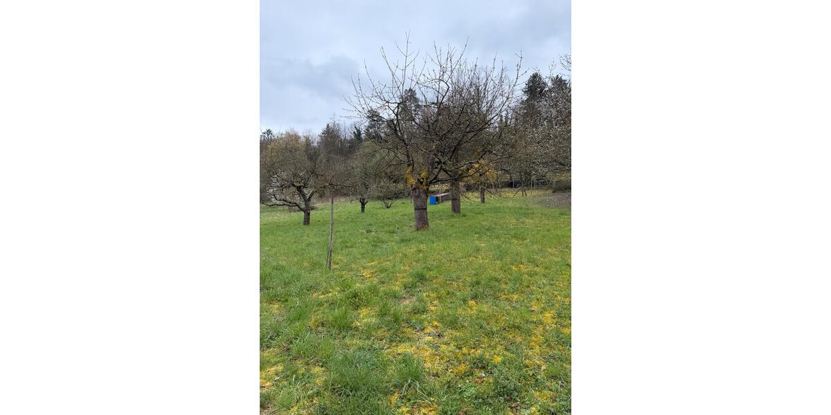 Grundstück Kirchheim am Neckar - 1.500&euro; | Angebot:26022878