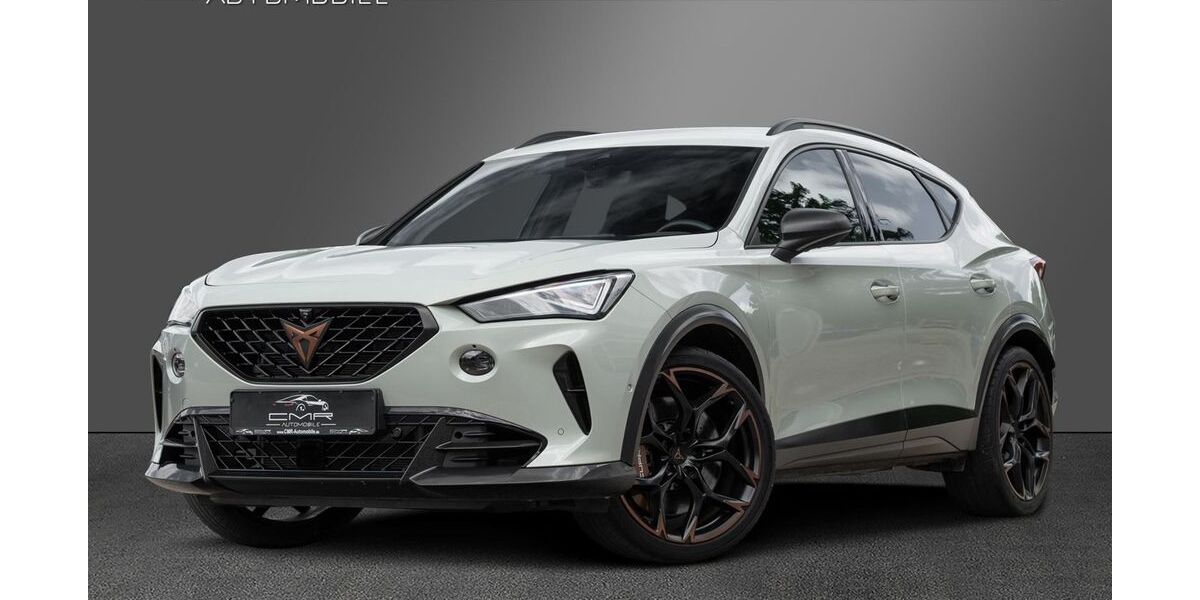 Cupra Formentor 18.085 km 41.189 &euro; Roigheim 74255