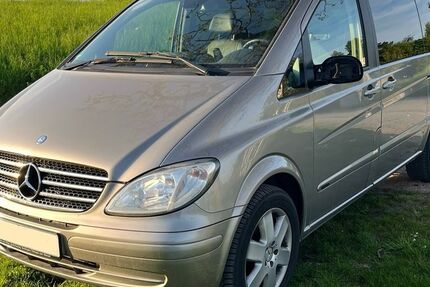 Mercedes Viano