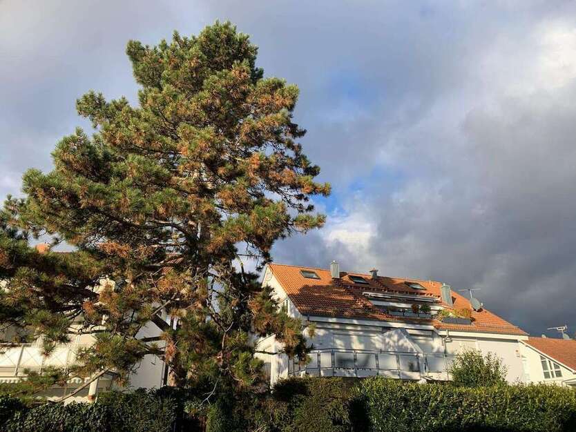 Wohnung zum Kaufen in Heilbronn 634.900 € 132 m²