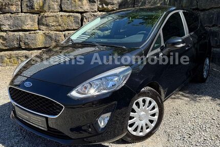 Ford Fiesta 229.000 km 4.980 &euro; Bad Rappenau 74906