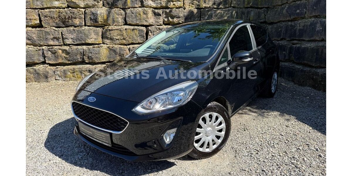 Ford Fiesta 229.000 km 5.970 &euro; Bad Rappenau 74906